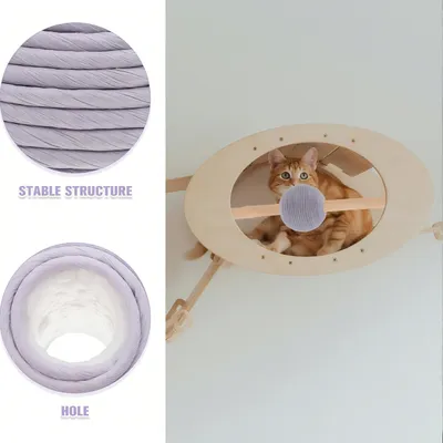 Rocky Paws Cat Scratch Interactive Pet Toy for Indoor Cats Fun for Exercise