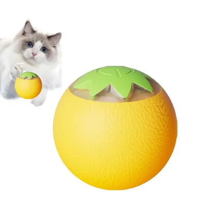 Rocky Balle de jeu interactif pour animaux