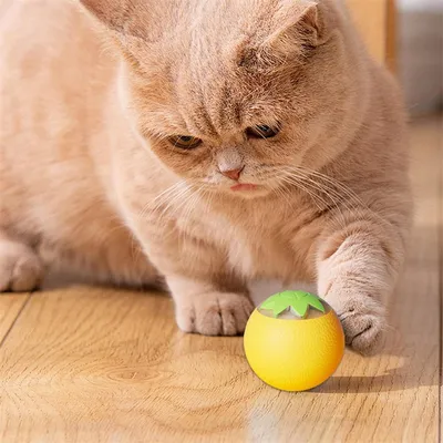 Rocky Balle de jeu interactif pour animaux
