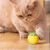 Rocky Balle de jeu interactif pour animaux