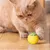 Rocky Balle de jeu interactif pour animaux