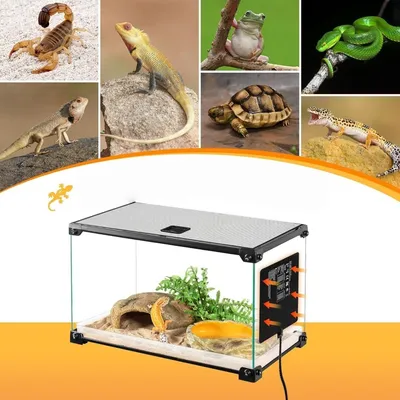 ZooVenture Tapis chauffant pour terrarium reptiles