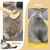 Rocky Brosse pour chat et chien