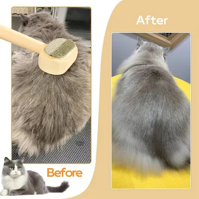 Rocky Brosse pour chat et chien