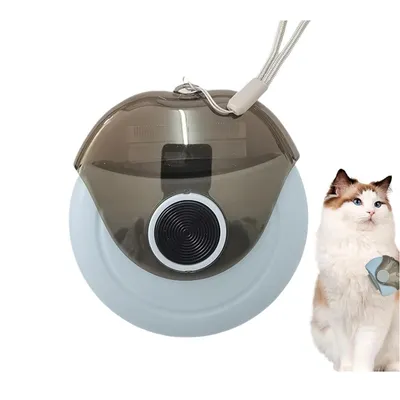 Rocky Brosse pour chat