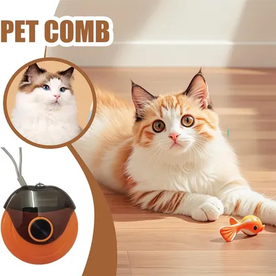 Rocky Brosse pour chat