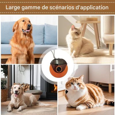Rocky Brosse pour chat