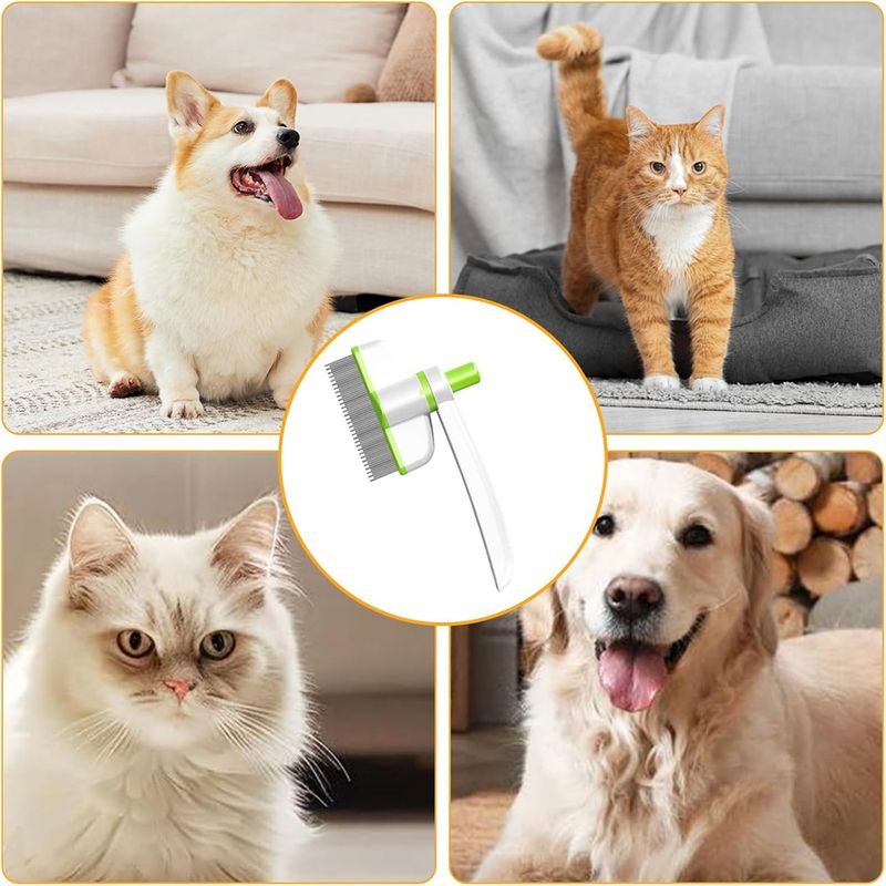 Rocky Brosse rotative pour chat et petit chien