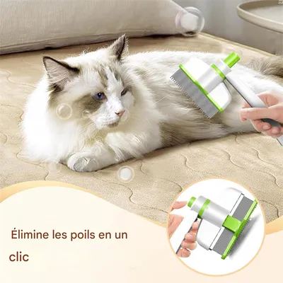 Rocky Brosse rotative pour chat et petit chien