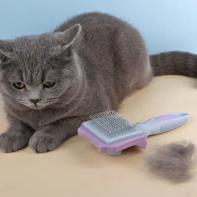 ZooVenture Brosse autonettoyante pour animaux de compagnie