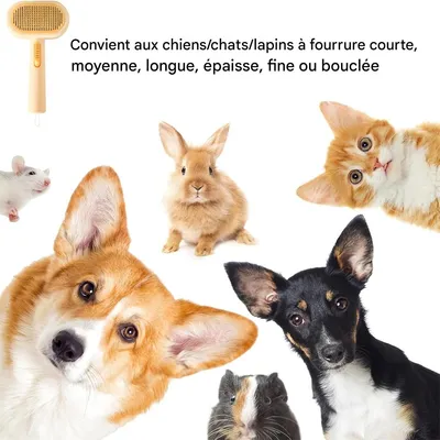 Rocky Brosse pour chat et chien