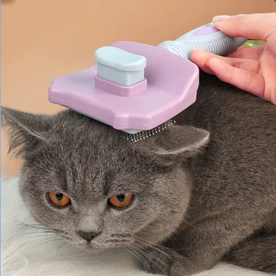 ZooVenture Brosse autonettoyante pour animaux de compagnie