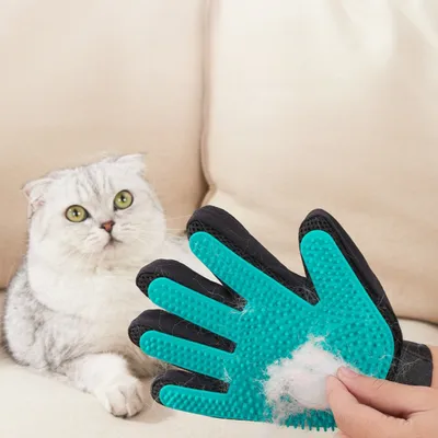 Rocky Paws  Gant toilettage 4 en 1 – Soin facile pour animaux (disponible e