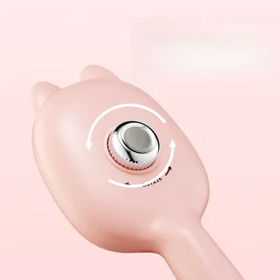 Rocky Brosse pour toilettage d'animaux