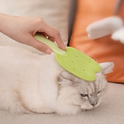 Rocky Peigne pour animal de compagnie