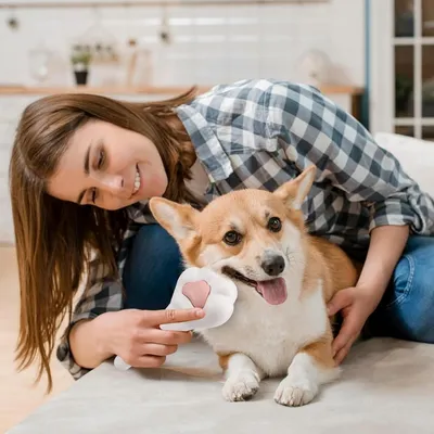 ZooVenture Brosse pour chat et chien