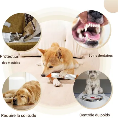 Rocky Jouet pour chien en forme de cigarette