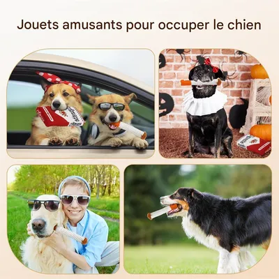 Rocky Jouet pour chien en forme de cigarette