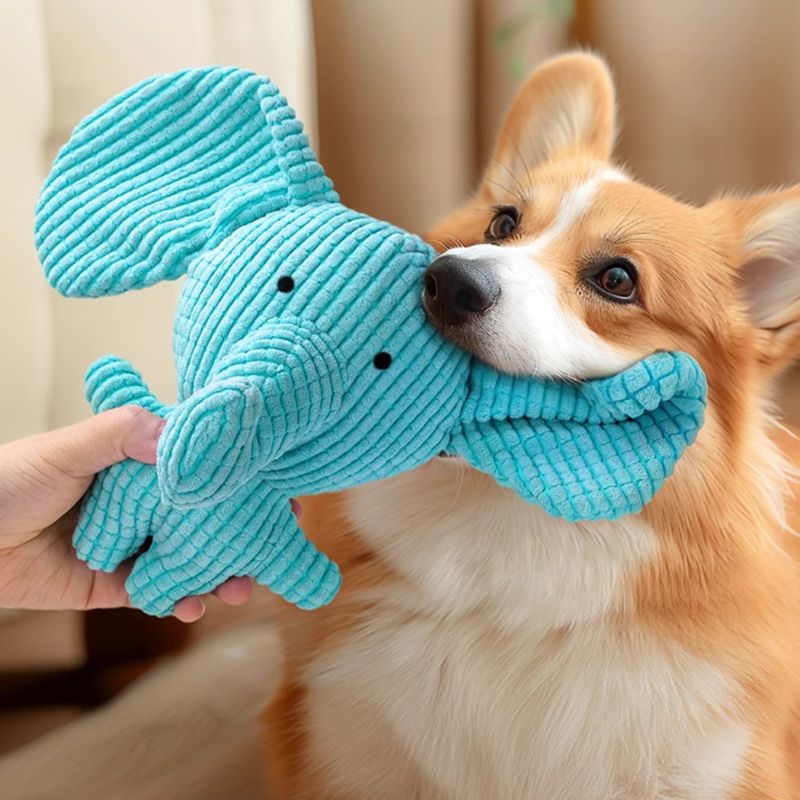 Zoomtopia Jouet pour chien en forme d'éléphant