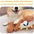 Rocky Jouet couineur en peluche pour chien Rocky Jouet couineur en peluche pour chien