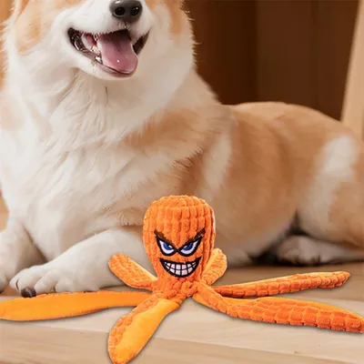 Rocky Jouets bruyants pour chiens