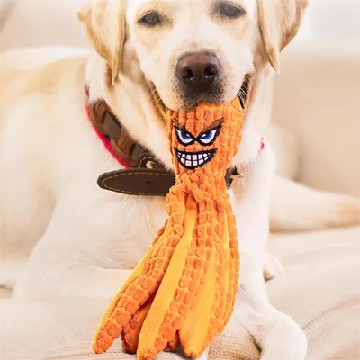 Rocky Jouets bruyants pour chiens