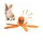 couleur orange