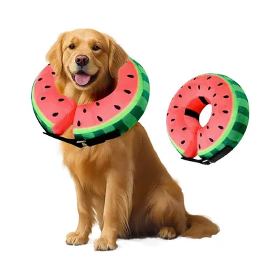 ZooVenture Collier gonflable pour chien