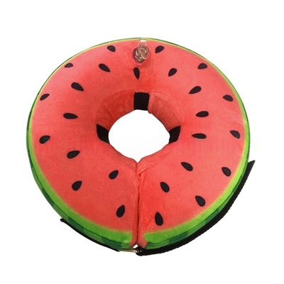 ZooVenture Collier gonflable pour chien