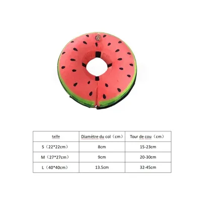 ZooVenture Collier gonflable pour chien