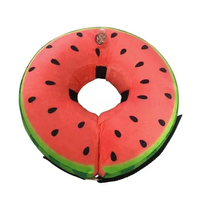 ZooVenture Collier gonflable pour chien