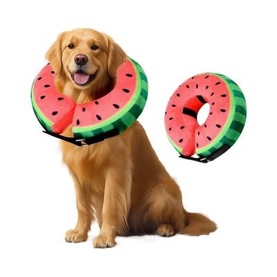 ZooVenture Collier gonflable pour chien