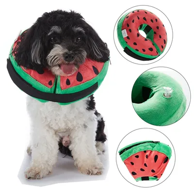 ZooVenture Collier gonflable pour chien