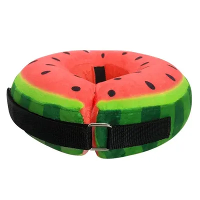 ZooVenture Collier gonflable pour chien