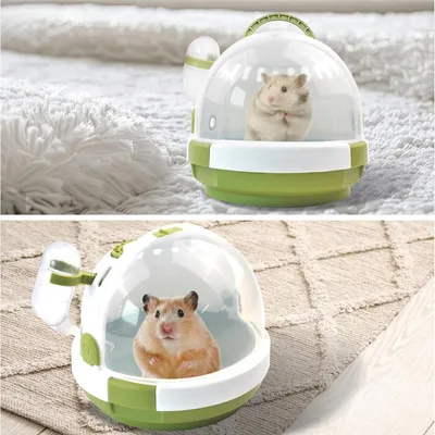 ZooVenture Cage pour petits animaux