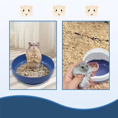 ZooVenture Cage pour petits animaux