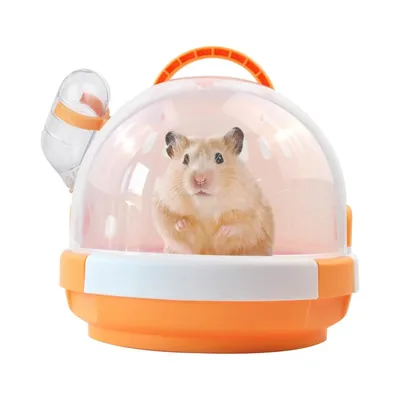ZooVenture Cage pour petits animaux