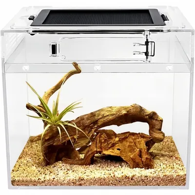 ZooVenture Terrarium en PC pour reptiles ZooVenture Terrarium en PC pour reptiles