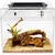 ZooVenture Terrarium en PC pour reptiles ZooVenture Terrarium en PC pour reptiles