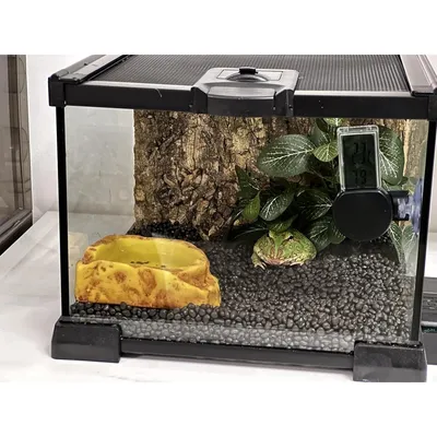 ZooVenture Miniterrario de cristal para reptiles