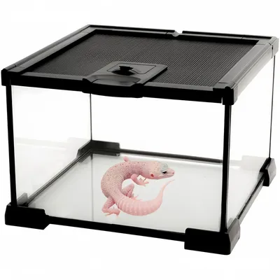 ZooVenture Miniterrario de cristal para reptiles