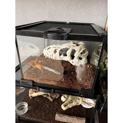 ZooVenture Miniterrario de cristal para reptiles