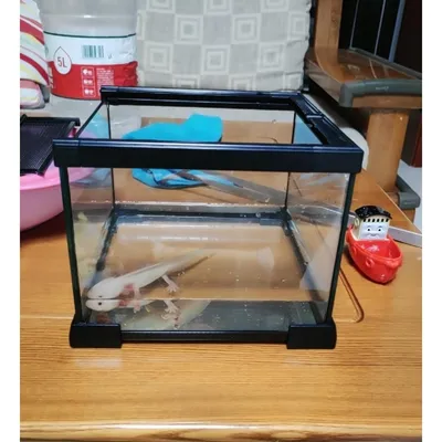 ZooVenture Miniterrario de cristal para reptiles