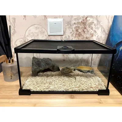 ZooVenture Mini terrarium en verre pour reptiles