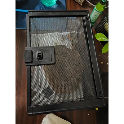 ZooVenture Mini terrarium en verre pour reptiles