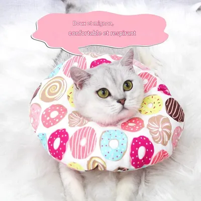 Zoomtopia Collier anti-léchage pour chat