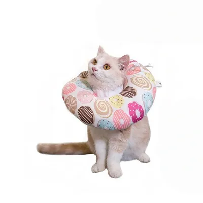 Zoomtopia Collier anti-léchage pour chat