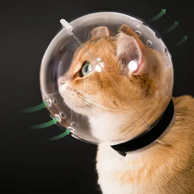 ZooVenture Transparenter Katzenmaulkorb