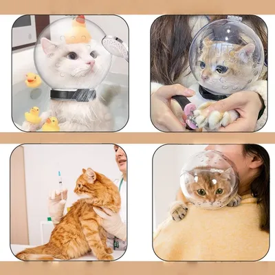 ZooVenture Transparenter Katzenmaulkorb