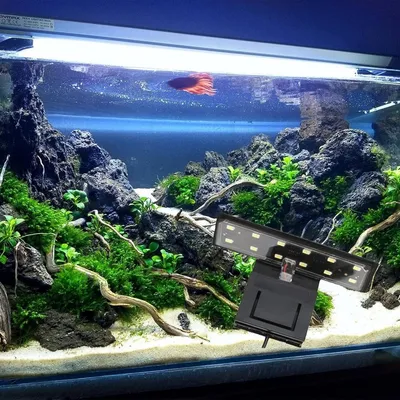 ZooVenture Éclairage Led D'Aquarium X3 Pour Plantes Aquatiques Et Poissons